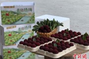 六夫独宠高速赋能产业升级：一条“杨梅路”的致富密码